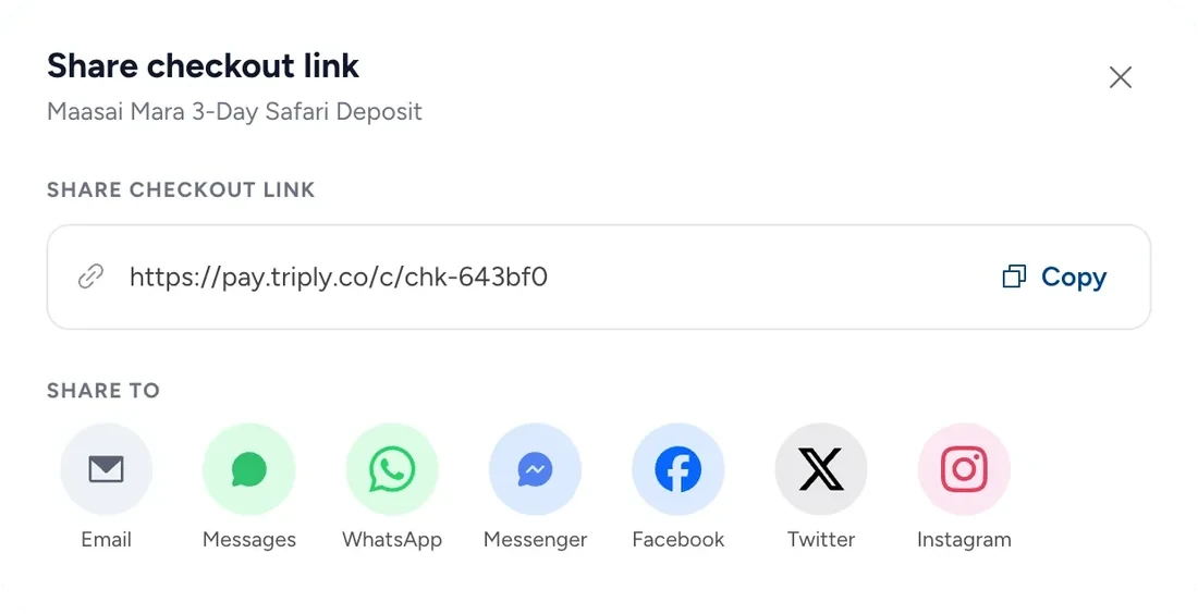 Share checkout link: the pay.triply.co link with a copy button, and Email, Messages, WhatsApp, Messenger, Facebook, X and Instagram.