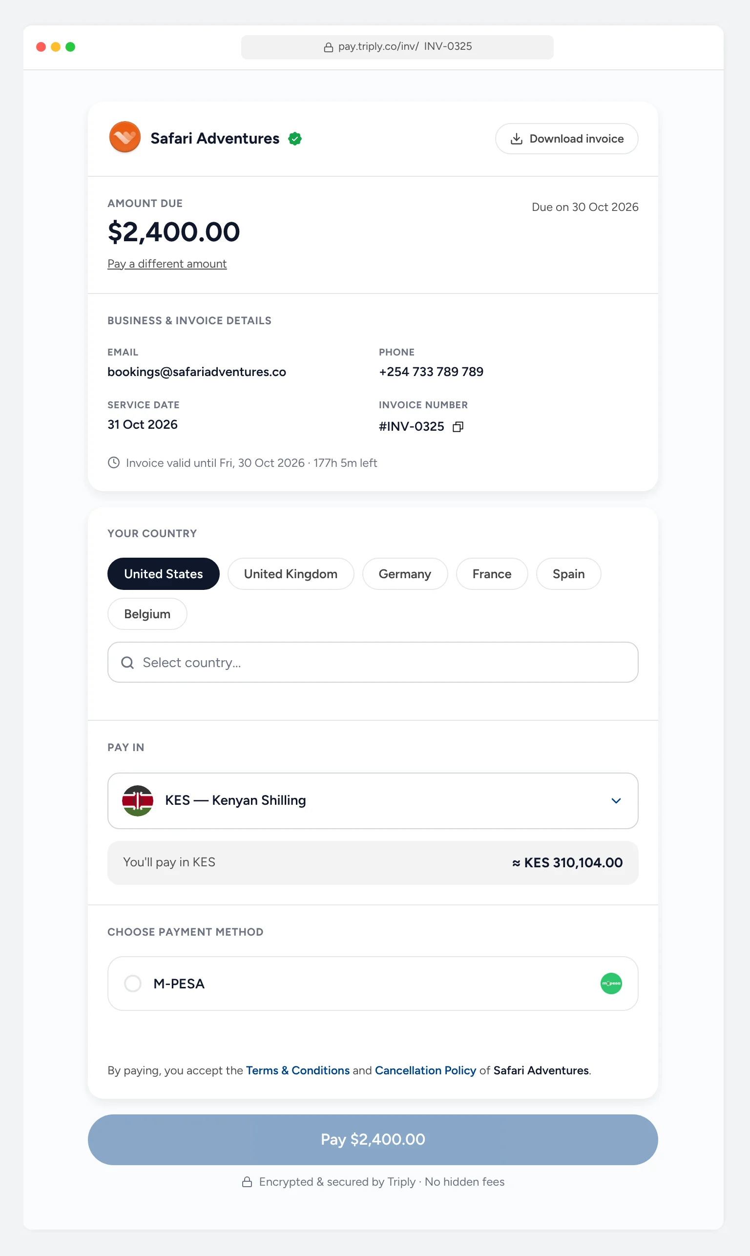 The payer page: Safari Adventures, amount due $2,400.00 due on 30 Oct 2026, pay a different amount, the client&rsquo;s country, pay in KES at about KES 310,104, mobile money, and Pay $2,400.00.
