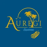 Auregi