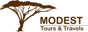 Modest Tours and Travels